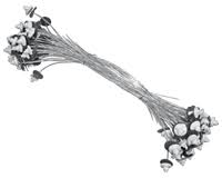 [1010] AMARRE TEJA CORTO  