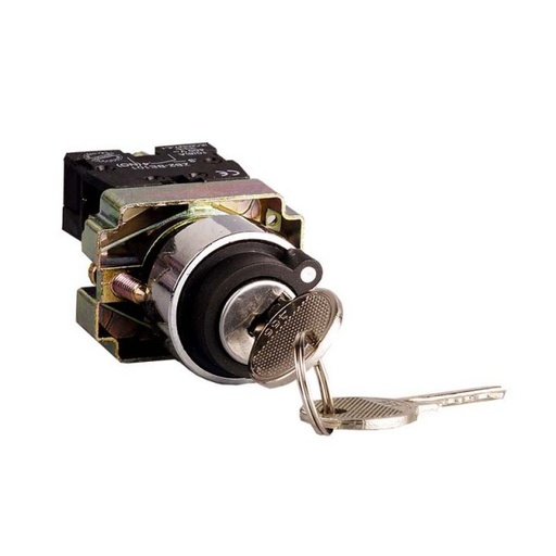 [2140354 VOLTIO] INTERRUPTOR SWITCH MULETILLA CON LLAVE 2P